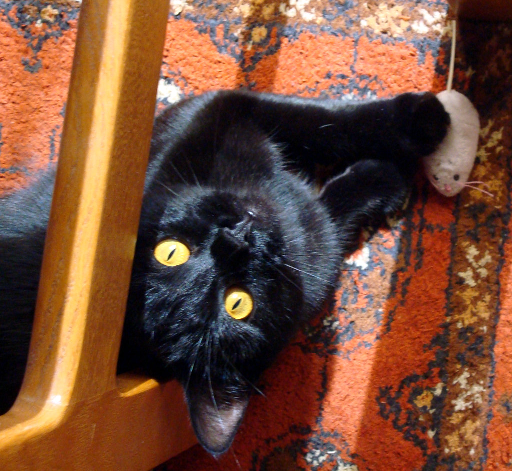 Jet with electric mouse.